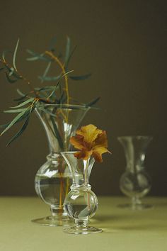 two glass vases with flowers in them on a table top next to each other