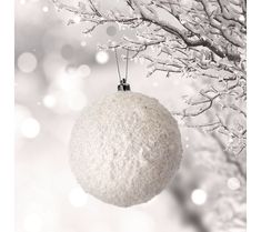 a white ornament hanging from a tree with snow covered branches in the background