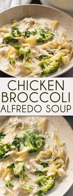 chicken broccoli alfredo soup in a white bowl