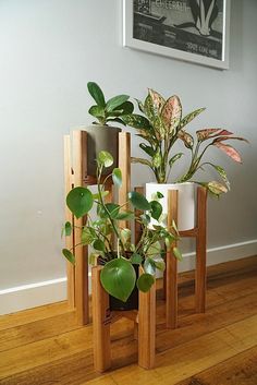 three wooden plant stands with potted plants in them on the floor next to a wall