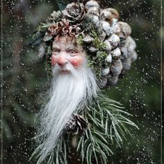 an old man with a beard and long white hair wearing pine cones