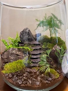 a glass bowl filled with rocks and plants