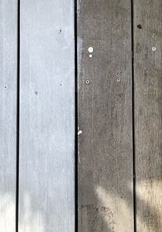 a cat sitting on top of a wooden floor next to a wall with holes in it