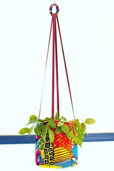 a potted plant hanging from a hook