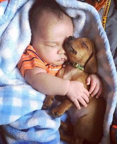 a baby sleeping with a dog wrapped in a blanket