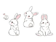 three rabbits sitting next to each other on a white background