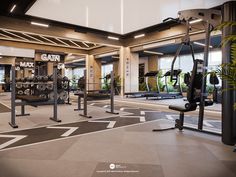 the gym is equipped with many different machines