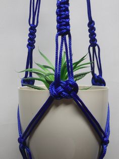 a potted plant with blue rope hanging from it's sides and an air plant in the middle