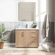 a bathroom with a sink, mirror and potted plant