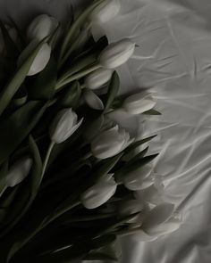 a bunch of white tulips laying on top of a sheeted bed spread