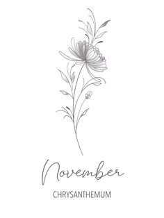 November chrysanthemum birth month flower tattoo art.  #art #aesthetic #birthmonthflower #birthmonthflowertattoo #birthday #linework #lineart #linetattoo #fineline #finelinetattoo #wallartdecor #wallartprints #minimalist #november #chrysanthemum #floral #bouquet #boho #tattoo #drawing #sketch #pencil #pencilsketch Chrysanthemum Flowers Tattoo, November Tattoo Flower, May Birth Flower Drawing, September And November Flower Tattoo, November Birthday Tattoo, Birth Flower Tattoos November, Month Of May Flower, Chrysanthemum And Rose Tattoo, May Flower Tattoo Birth Month