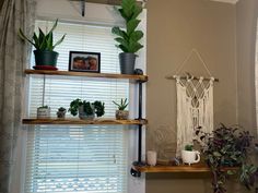 two shelves with plants and pictures on them in front of a window covered by curtains