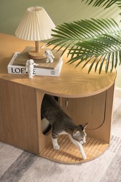 a cat standing inside of a wooden cabinet next to a lamp and a book on top of a table