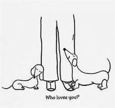 two dogs are standing next to each other with the words who loves you?