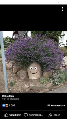 a plant with a smiley face on it's head in the middle of a garden