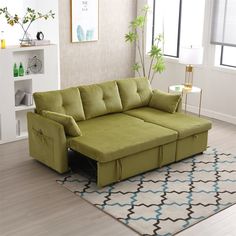 a living room with a green couch and rug