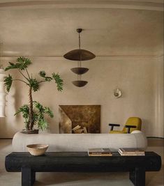 a living room filled with furniture and a potted plant on top of a table