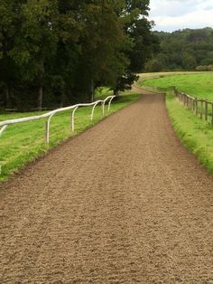 a horse standing on the side of a dirt road next to a lush green field