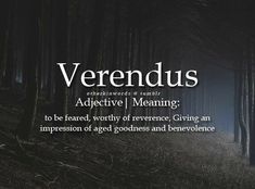 the words verendus advertise meaning to be heard, worthy and giving an impression of goodness and providence