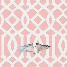 a bird flying over a pink and white wallpaper with geometric design on it's back