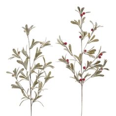 two branches with red berries on them against a white background