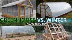 green house vs winter how'd they do?