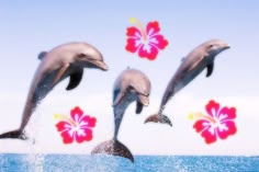 three dolphins jumping out of the water with hilo flowers on their back and behind them