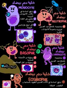 the poster shows different types of animals and their names in arabic, with pictures of them