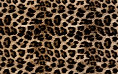 an animal print pattern is shown in brown and black