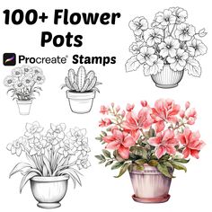 flower pots with flowers in them and the words, 100 + flower pots procreate stamps