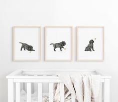 three framed pictures of dogs in black and white on a wall above a crib