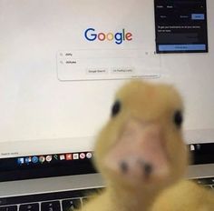 a stuffed duck sitting in front of a laptop computer with the google logo on it