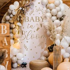 a baby in bloom backdrop with balloons and other decorations on the wall behind it is a sign that says, baby in bloom