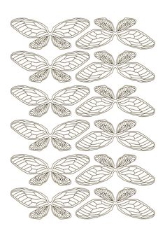 a drawing of some leaves on a white background, with the outlines for each leaf