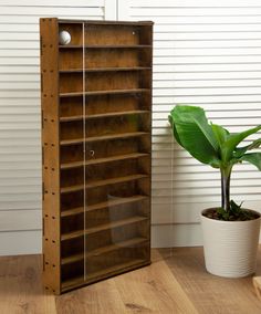 a potted plant sitting next to a wooden book shelf with glass doors on it