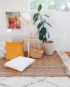 a living room with white walls and rugs on the floor, two plants in vases next to each other