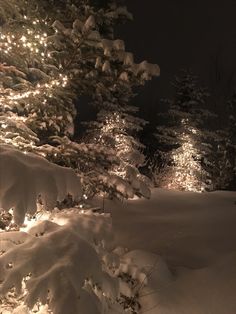 snow covered trees with lights in the background