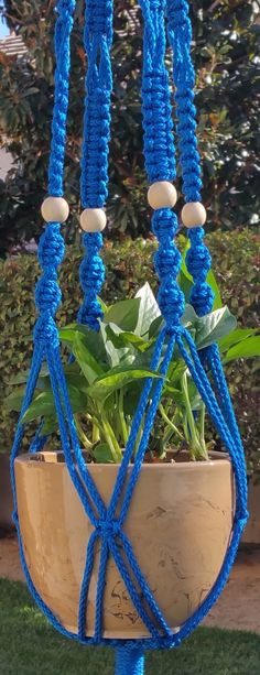 a potted plant with blue ropes hanging from it