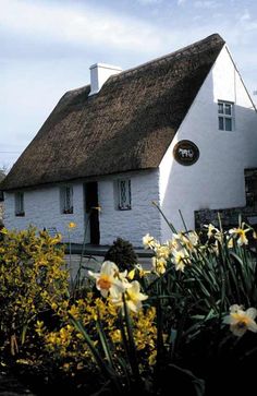 a thatched roof house with daffodils in the foreground