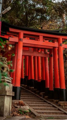 an orange gate with steps leading up to it in the middle of trees and bushes