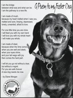 a black and white photo of a dog with its poem written in the bottom right corner