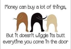 three elephants standing next to each other with the words money can't buy lot of things, but it doesn't wig