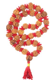 Product Name : Ganesha Rudraksha Kantha Bead size : 19 mm - 20 mm Design :  33 beads of high quality Ganesha rudraksha of nepal strung in strong thread having traditional knots between beads with Woolen spacers . Origin : Nepal Description :  Ganesh Rudraksha bears a Trunk like elevation as is seen on the face of Lord Ganesha, the son of Lord Shiva. Ganesha, the elephant-headed God of success and overcoming obstacles, is also associated with wisdom, learning, prudence, and power. He gives 'Riddh Festive Multicolor Spiritual Temple Necklace, Traditional Multicolor Mala With 8mm Beads, Red Mala For Meditation, Traditional Hand-strung Mala For Rituals, Handmade Mala For Festivals, Handmade Mala For Rituals, Handmade Mala For Rituals And Festivals, Handmade Round Mala For Festivals, Red Beaded Mala For Meditation