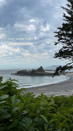 the ocean is next to some trees and bushes