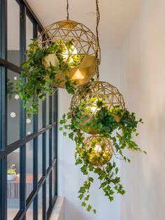 some plants are hanging from the ceiling in front of a glass door and window sill