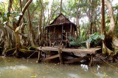 a small wooden house in the middle of some water surrounded by trees and vegetation, with a bridge leading to it