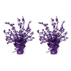 two vases filled with purple flowers on a white background