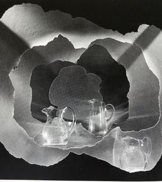 three glass pitchers sitting on top of a piece of paper with the shadow of a flower behind them