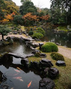 a small pond surrounded by rocks and trees