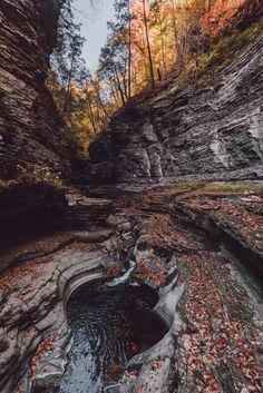 a small stream running through a canyon surrounded by rocks and autumn leaves on the ground